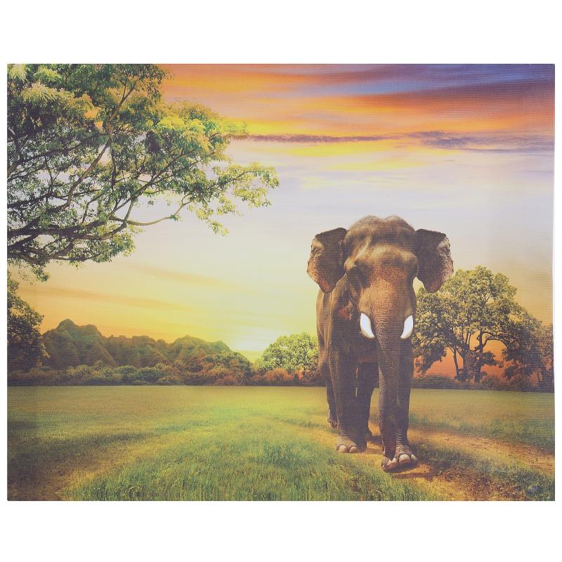 Картина на холсте «Слон дерево» 50х40 см
