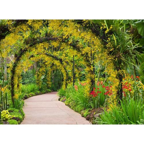Фотообои флизелиновые «Цветочная арка» 370х270 см