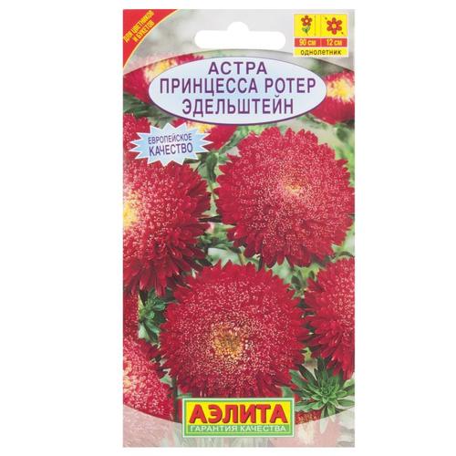 Астра «Принцесса Ротер Эдельштейн»