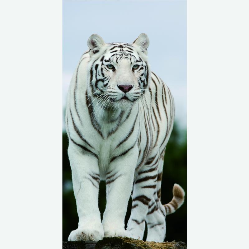 Фотообои флизелиновые «Тигр» 100х200 cм