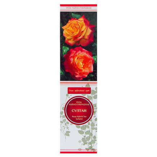 Розы чайно-гибридные «Султан»