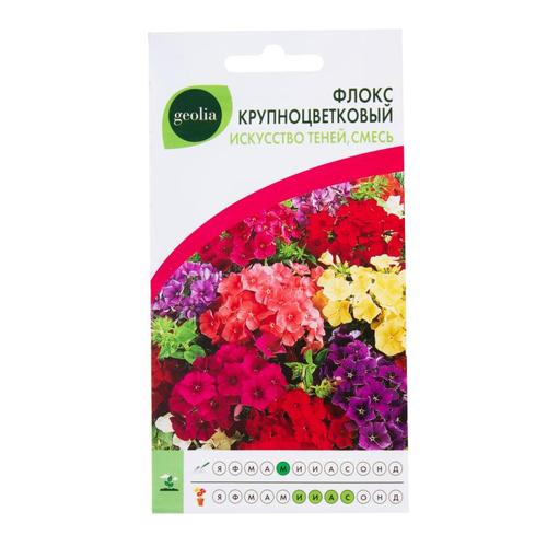 Флокс Geolia «Искусство теней» смесь окрасок
