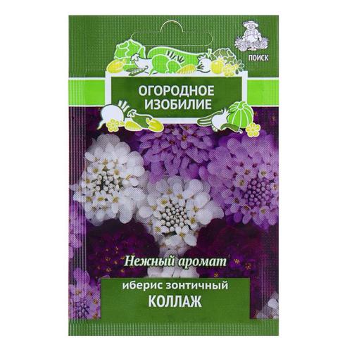 Иберис зонтичный «Коллаж»