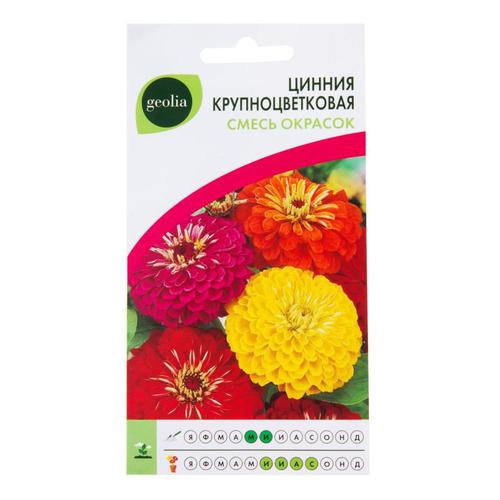 Цинния крупноцветковая Geolia смесь окрасок