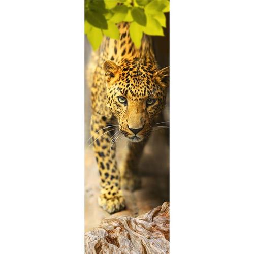 Фотопанно флизелиновое «Леопард» 100х300 см