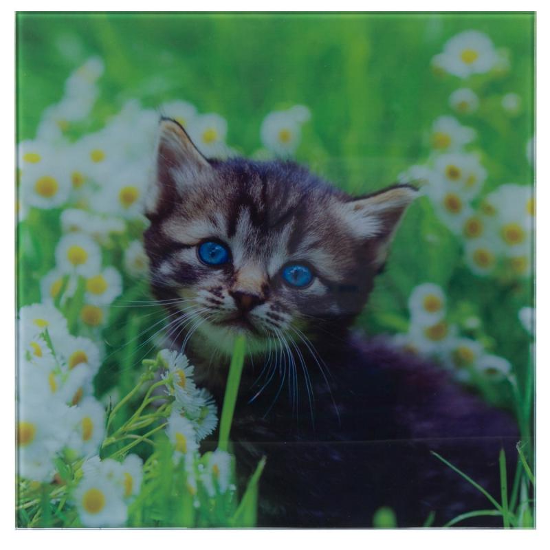 Картина на стекле 30х30 см «Котёнок в ромашке»