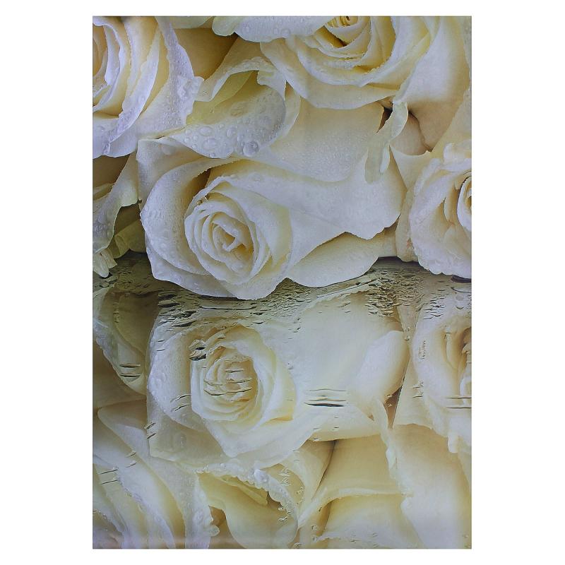 Фотообои бумажные «Белые розы» 368x254 см