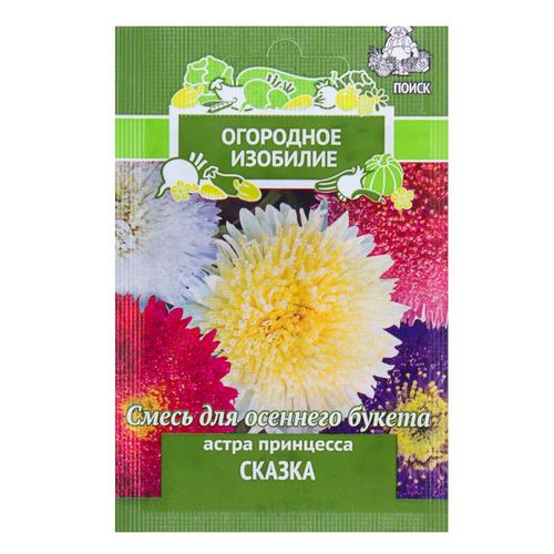Астра принцесса «Сказка»