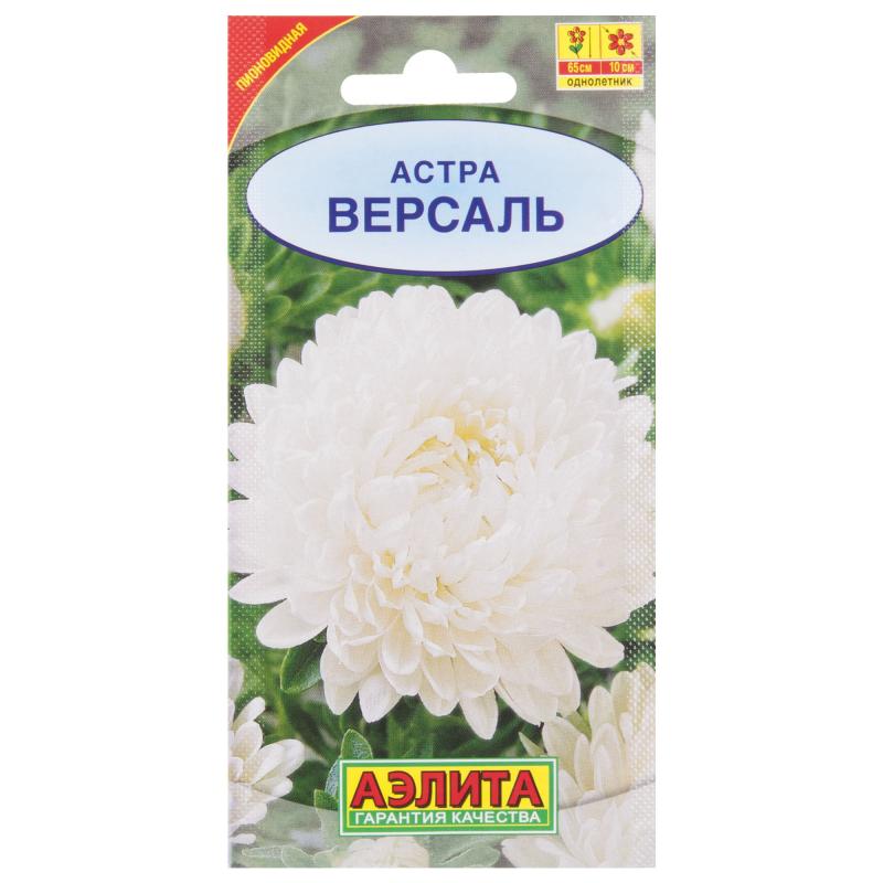 Астра пионовидная «Версаль»