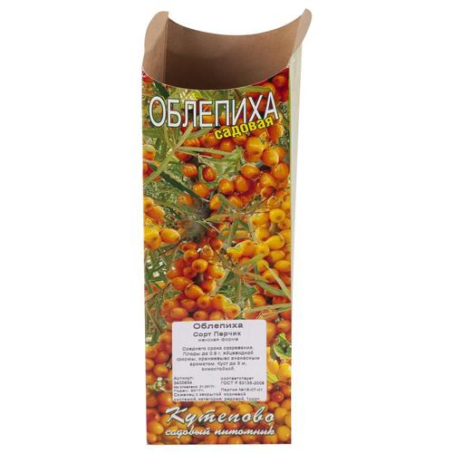 Облепиха в коробке