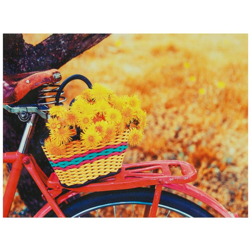 Канвас 30х40 см «Цветы в велосипедной корзинке»