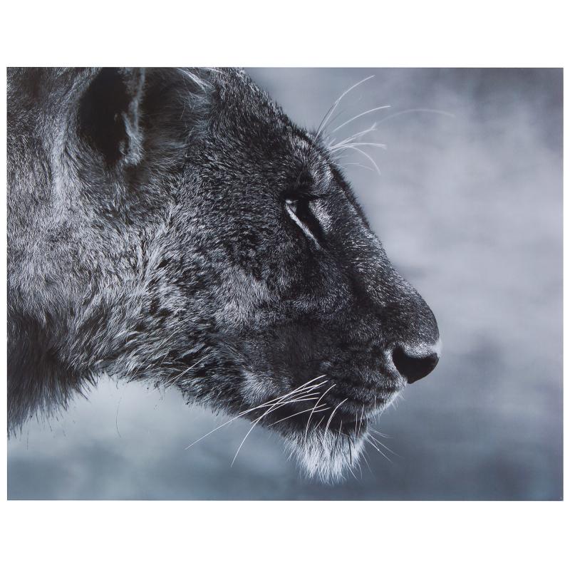 Картина без рамы 40х50 см «Дикая львица»