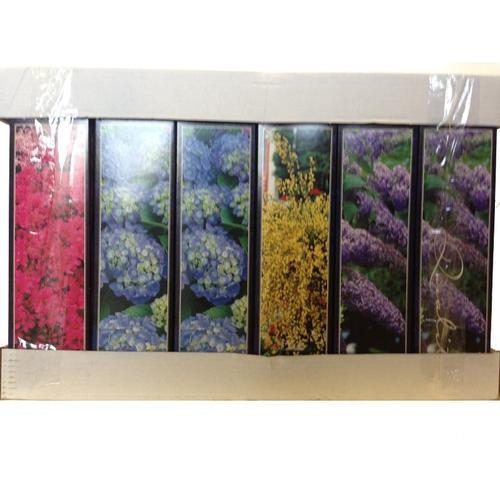 Саженцы террасных растений, в коробке №2, 30х9 см