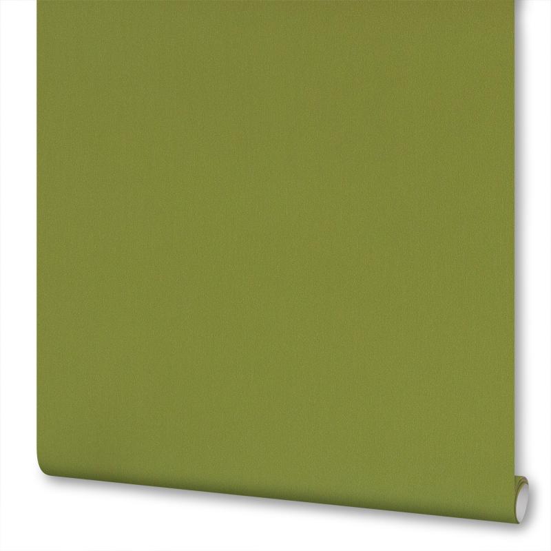 Обои на флизелиновой основе Inspire Silk 1.06х10 м Эффект окрашенных стен цвет зеленый
