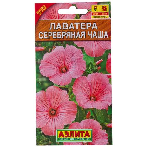 Лаватера трёхмесячная «Серебряная чаша»