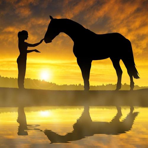 Холст 40х40 см «Девушка и лошадь у воды»